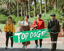果冻传媒《TOP DOG》免费在线观看