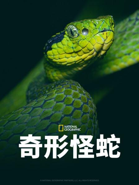 果冻传媒APP《奇形怪蛇》免费在线观看